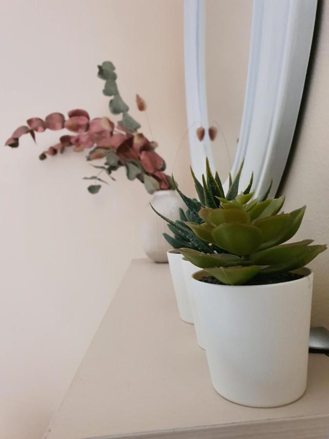 Stergios_Apartments 06 Кожани Екстериор снимка